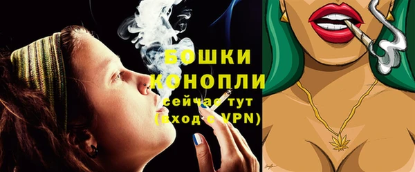 гашик Богородск