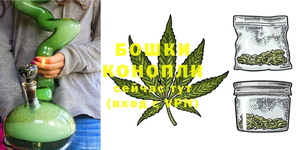 прущий лед Бородино