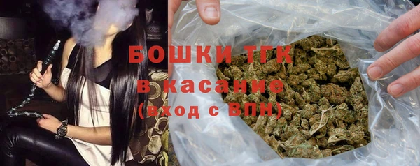 гашик Богородск