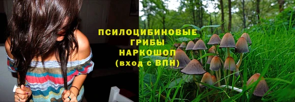 гашик Богородск