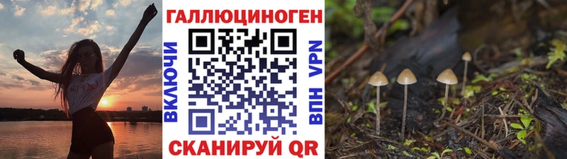 цена наркотик  Городовиковск  Галлюциногенные грибы MAGIC MUSHROOMS 